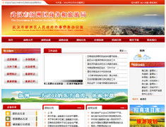 武漢網(wǎng)站建設(shè)與軟件開(kāi)發(fā) 陸叁玖科技的專業(yè)服務(wù)指南